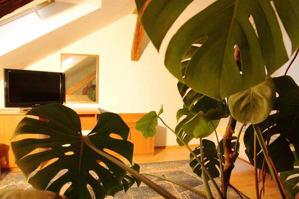 Penzion Brahama プレショフ 部屋 写真